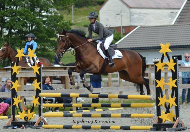 D-stevne Egersund og Dalane Rideklubb 22-23.juni 2019
